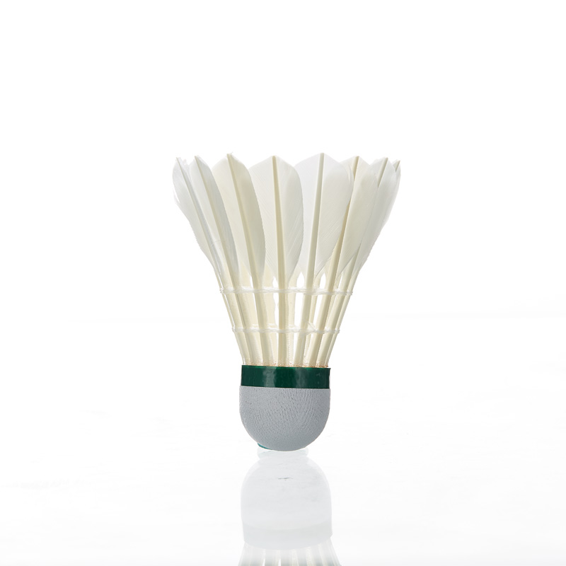 Kawasaki Feather volano 8E Pro - Badminton Center recensione e prezzo